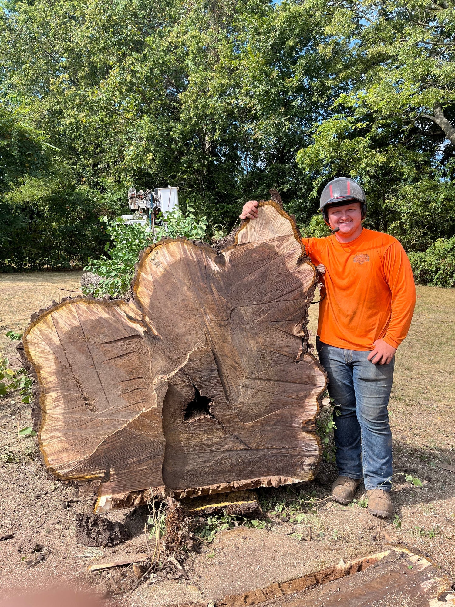 Professional Tree Services in Southwest Missouri – Powers Tree & Storm Cleanup